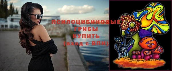 тгк Аркадак