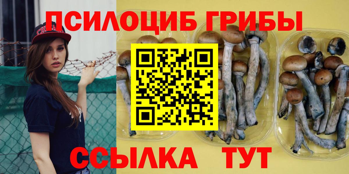 Галлюциногенные грибы GOLDEN TEACHER Серов